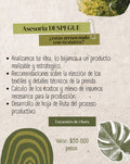Asesoria Despegue